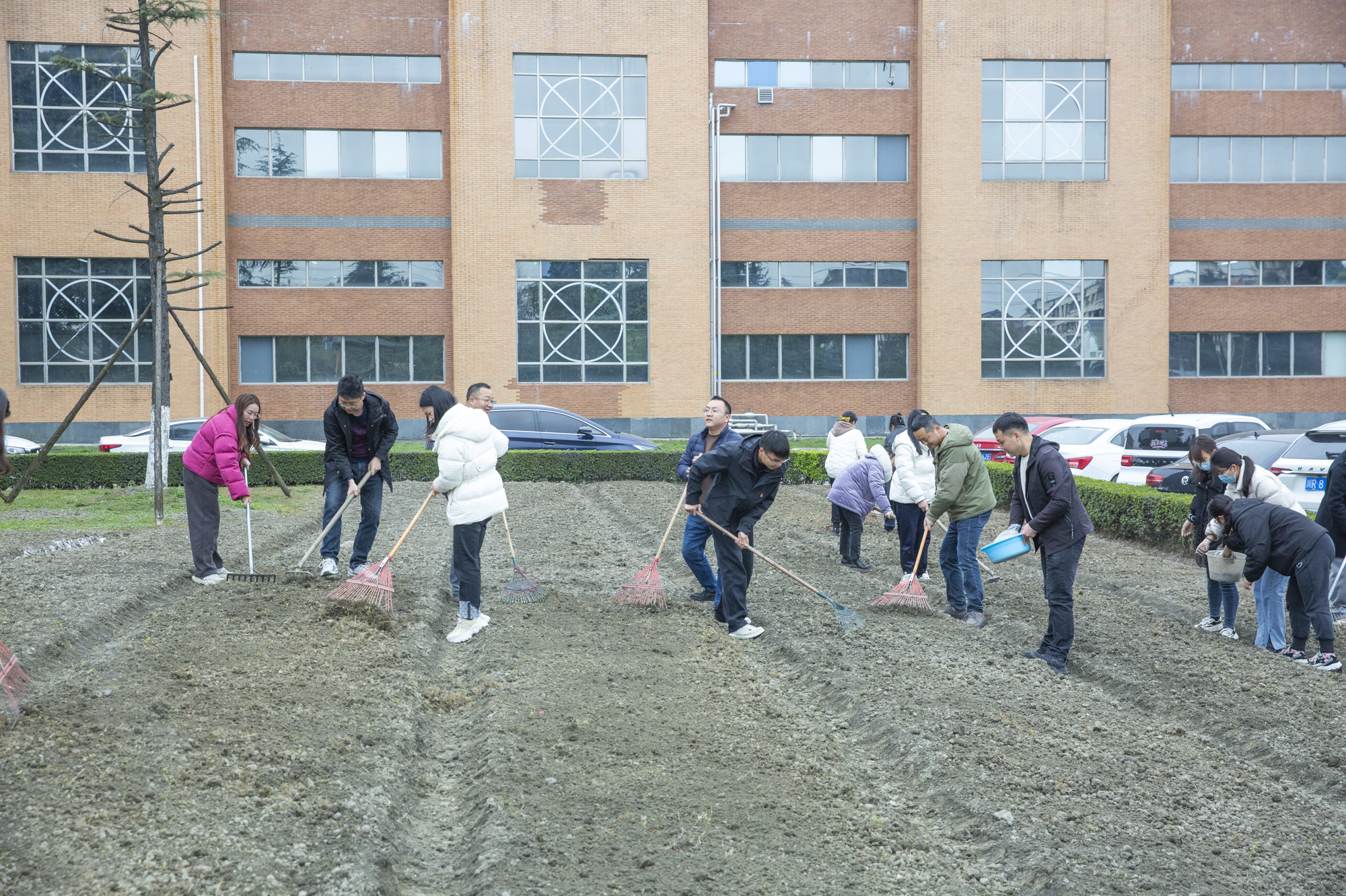 植樹節 | 四川海蓉開展“植此青綠，擁抱春天”植樹節活動